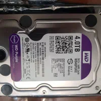 هارد ۴ ترابایت بنفش وسترن - نو