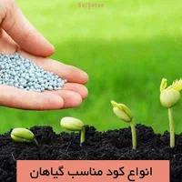 کود های گل های آپارتمانی