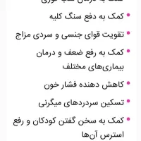 گوشت کفتر و کبوتر و برخی از پرندگان ارسال رایگان|خوردنی و آشامیدنی|قم, علی آباد|دیوار