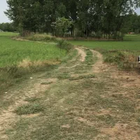 ۱۱۲۰۰ متر زمین کشاورزی شالیزار