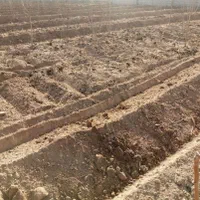 خاک باغچه حاصل خیز فقط کیسه ای ۵۰کیلو۶۰هزار|خدمات باغبانی و درختکاری|زاهدان, |دیوار