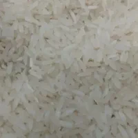 برنج کشت پاکستانی