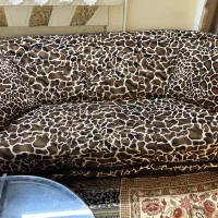 مبل کار کرده تمیز|مبلمان خانگی و میز عسلی|تهران, بیسیم|دیوار