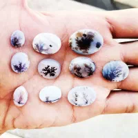 تعداد 60 عدد سنگ شجر|بدلیجات|تهران, هفت حوض|دیوار