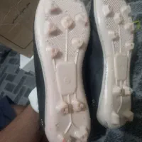 کفش|تجهیزات ورزشی|دوگنبدان, |دیوار