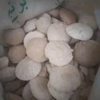 کشک گوسفندی