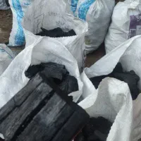 استخدام کار خانم