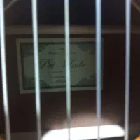 گیتارپالادوcg80|گیتار، بیس، امپلیفایر|پردیس, فاز ۴|دیوار