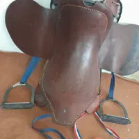 زین گاومیشی