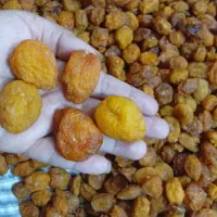 آلو بخارا آفتابی درجه یک