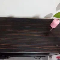 کتابخانه ام دی اف|کتابخانه، شلف، قفسه‌های دیواری|قدس, شهر‌قدس|دیوار