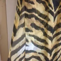 لباس مجلسی|لباس|کرج, آق تپه|دیوار