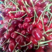 گیلاس