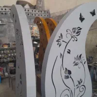 نیروی خانم