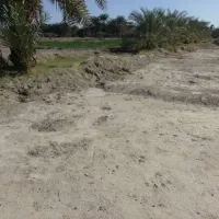 فروش زمین کشاورزی 4000متر|فروش دفتر صنعتی، کشاورزی، تجاری|ایرانشهر, |دیوار