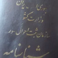 شناسنامه ای‌پیداشده مشخصات بگین بیان تحویل بگیرین