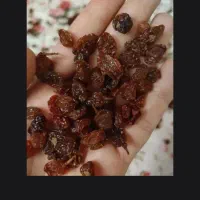کشمش درگز