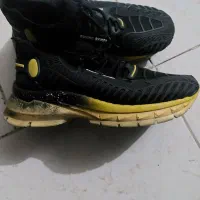 دو نوح کفش اسپرت