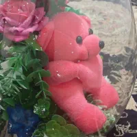 باکس شیشه ای گل وعروسک|گل مصنوعی|قرچک, مهدیه|دیوار