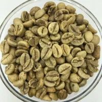 پخش عمده دان قهوه
