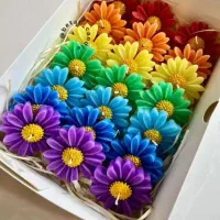 شمع بابونه هدیه روز دانش آموز