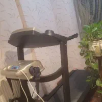 تردمیل|تجهیزات ورزشی|شیراز, فرهنگ شهر|دیوار