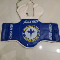 هوگو تکواندو