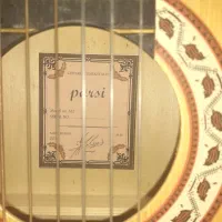 گیتار برند پارسی مدل ام توو  Parsi  m2