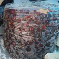 خرمای مرداسنگ ممتاز شیرهدار تازه