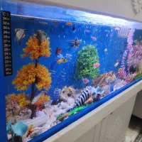 اکواریوم حرفه ای با کمد|ماهی|محمدیه-قزوین, |دیوار