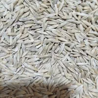 جو تمیز تمیز