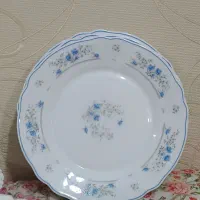 ظروف آرکوپال|ظروف سرو و پذیرایی|تهران, دولتخواه شمالی|دیوار