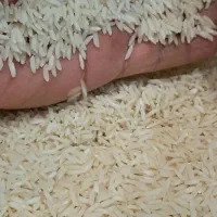 برنج هاشمی اعلاودرجه یک|خوردنی و آشامیدنی|رشت, پل تالشان|دیوار