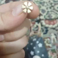 گمشده