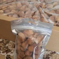 خرما