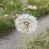 مدارک گمشده