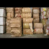 ضایعات خری صداقت