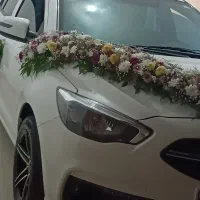 شاهین اسپرت در حد صفر