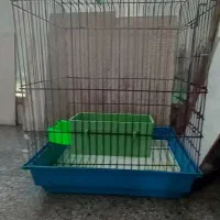 قفس بزرگ برای طوطی