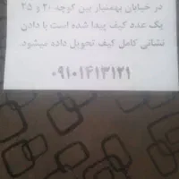 کیف گم شده