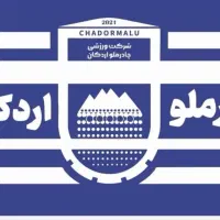 تیشرت ورزشی و پرچم هواداری