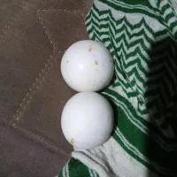 عقیق سلیمانی و سنگ آسیاب|جواهرات|بروجرد, |دیوار