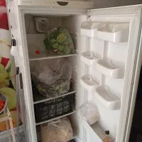 یخچال امرسان خنک کننده|یخچال و فریزر|نی‌ریز, |دیوار