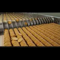 اپراتور خط تولید و نیرو خدماتی