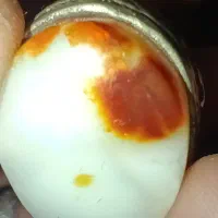 انگشترعقیق شیری رگ خونی