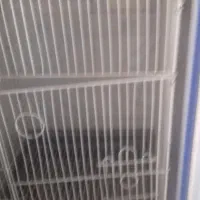 قفس  پرنده
