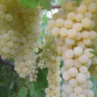 تماس بگیرید