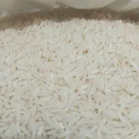 برنج ایرانی، بی واسطه از شالیکار بخرید