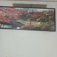 فروشی|تابلو، نقاشی، عکس|فردیس, شهرک ارم|دیوار