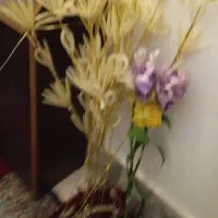 سیزده شاخه گل پر بدون گلدان